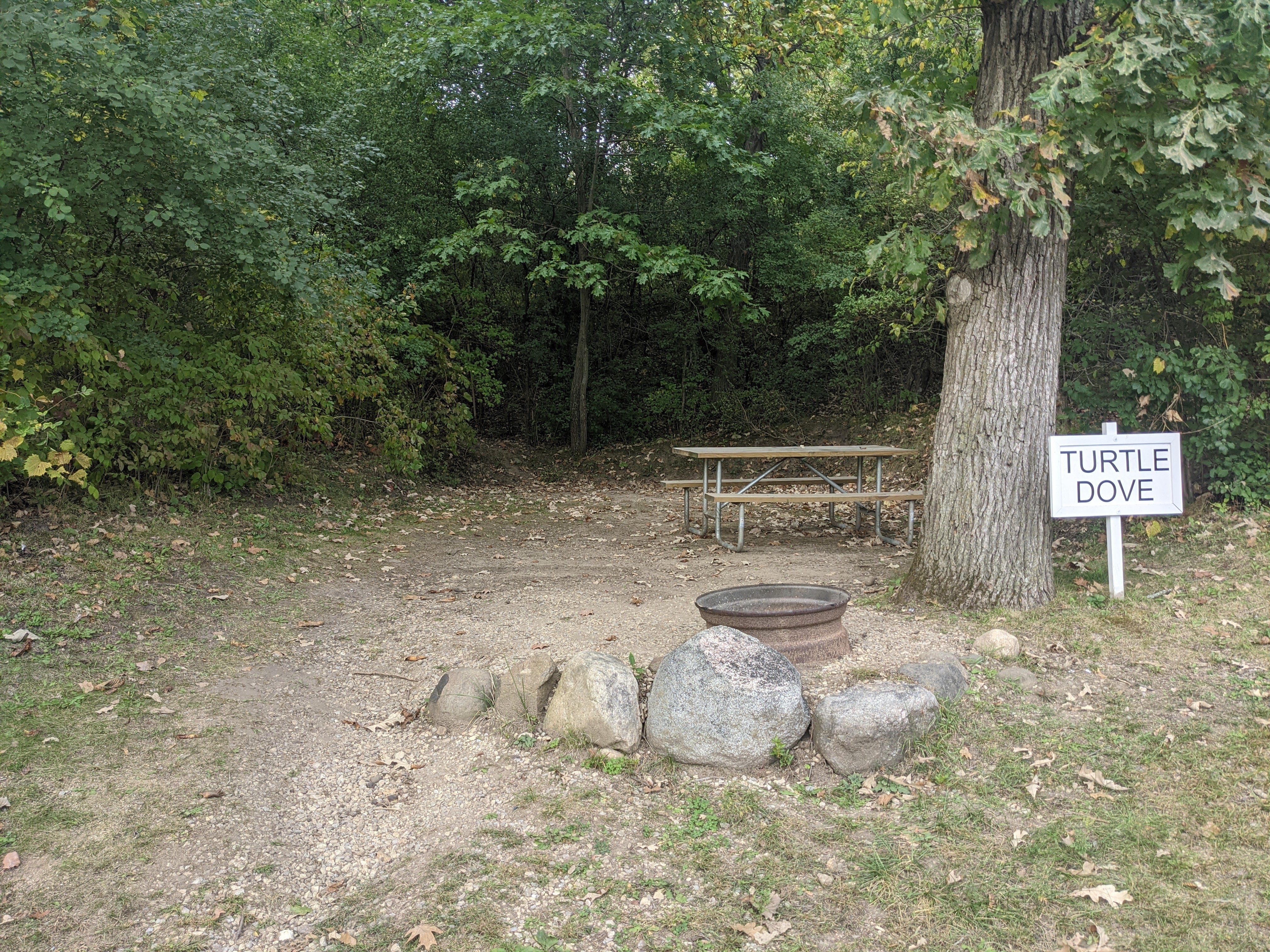 Camper submitted image from Snug Harbor Inn Campground on Turtle Lake - 1