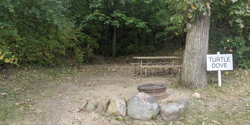 Camper submitted image from Snug Harbor Inn Campground on Turtle Lake