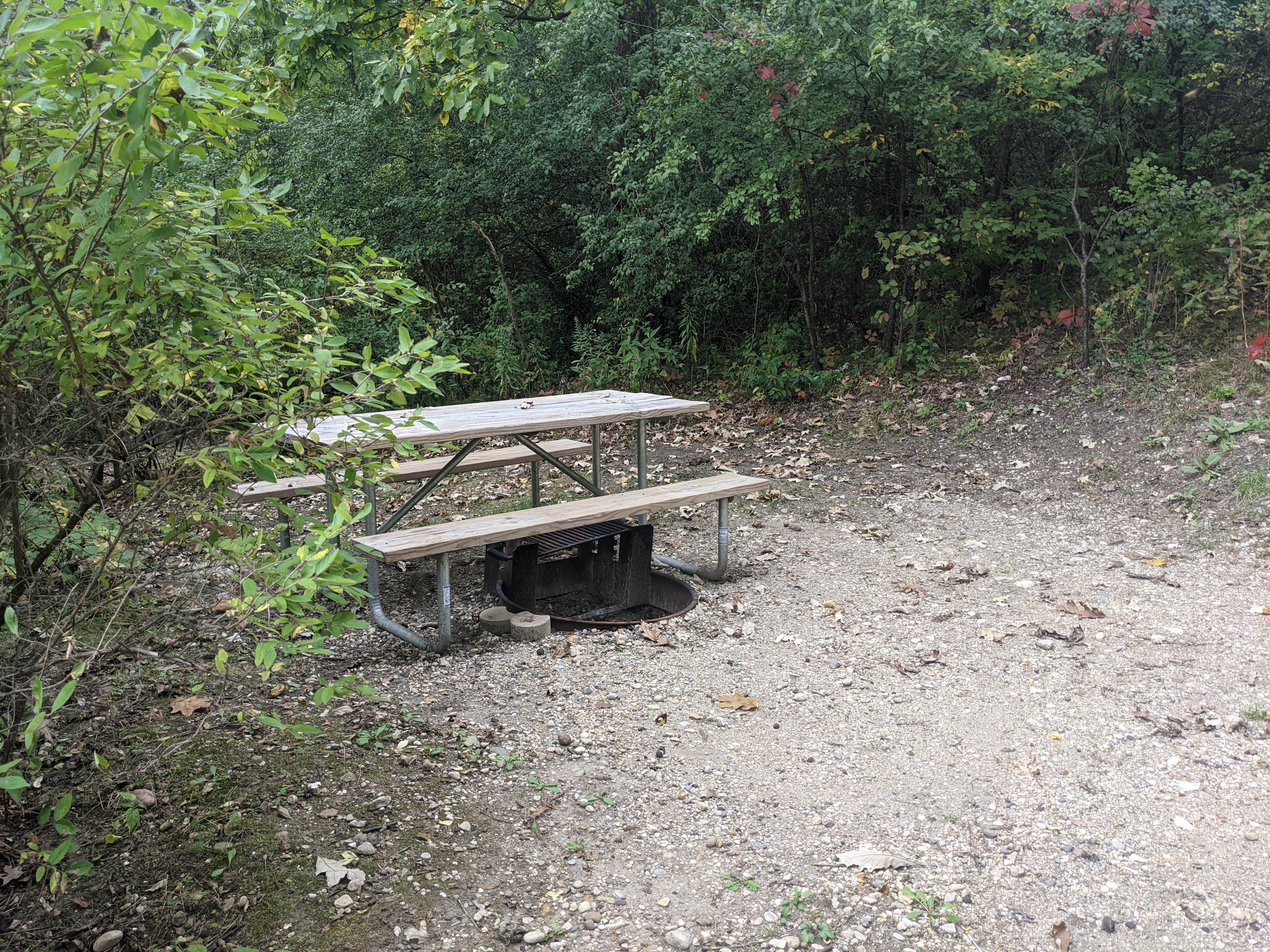 Camper-submitted photo at Snug Harbor Inn Campground on Turtle Lake near Wales, WI
