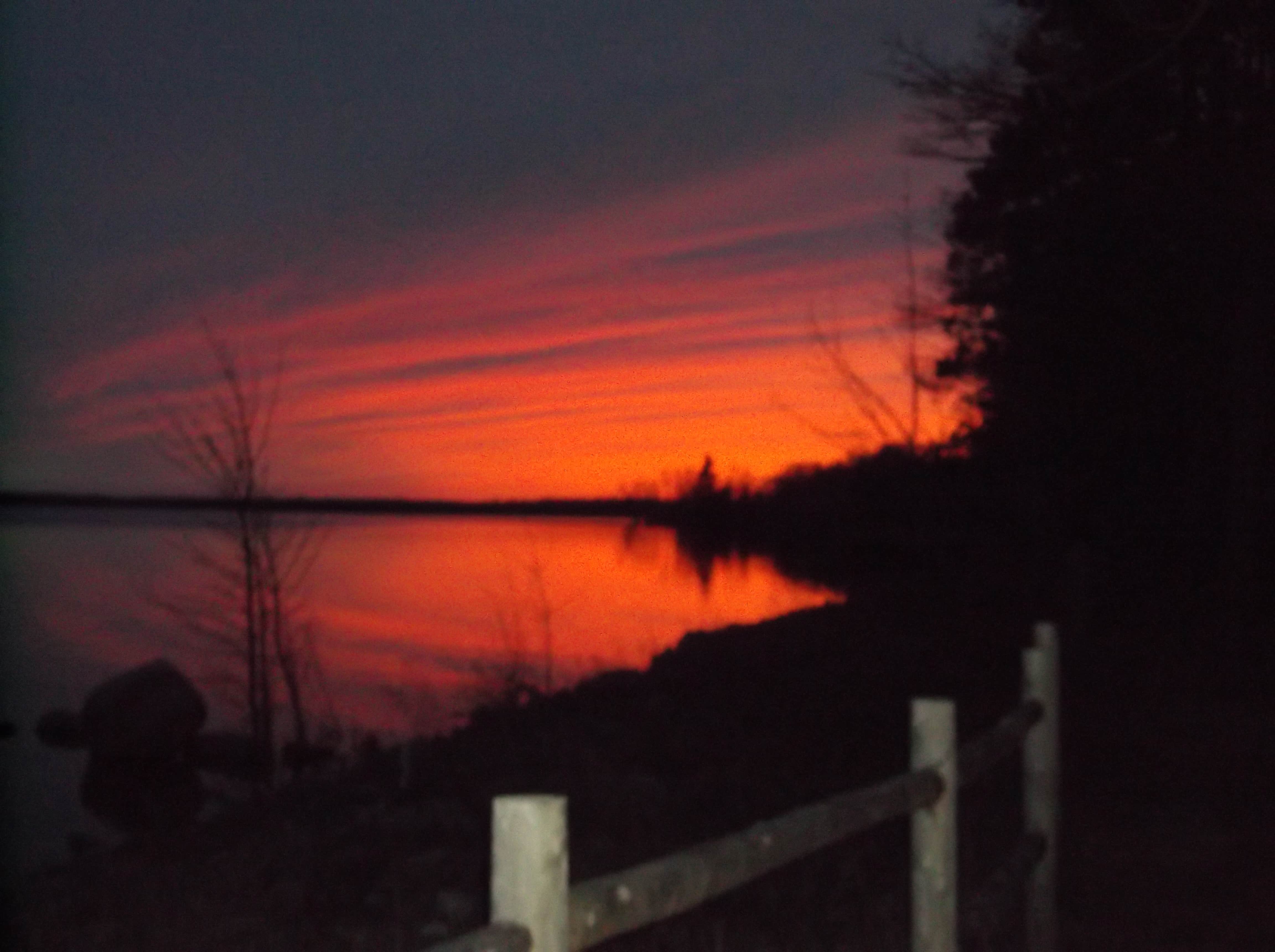 Camper submitted image from Black Lake State Forest Upper ORV Campground - 2