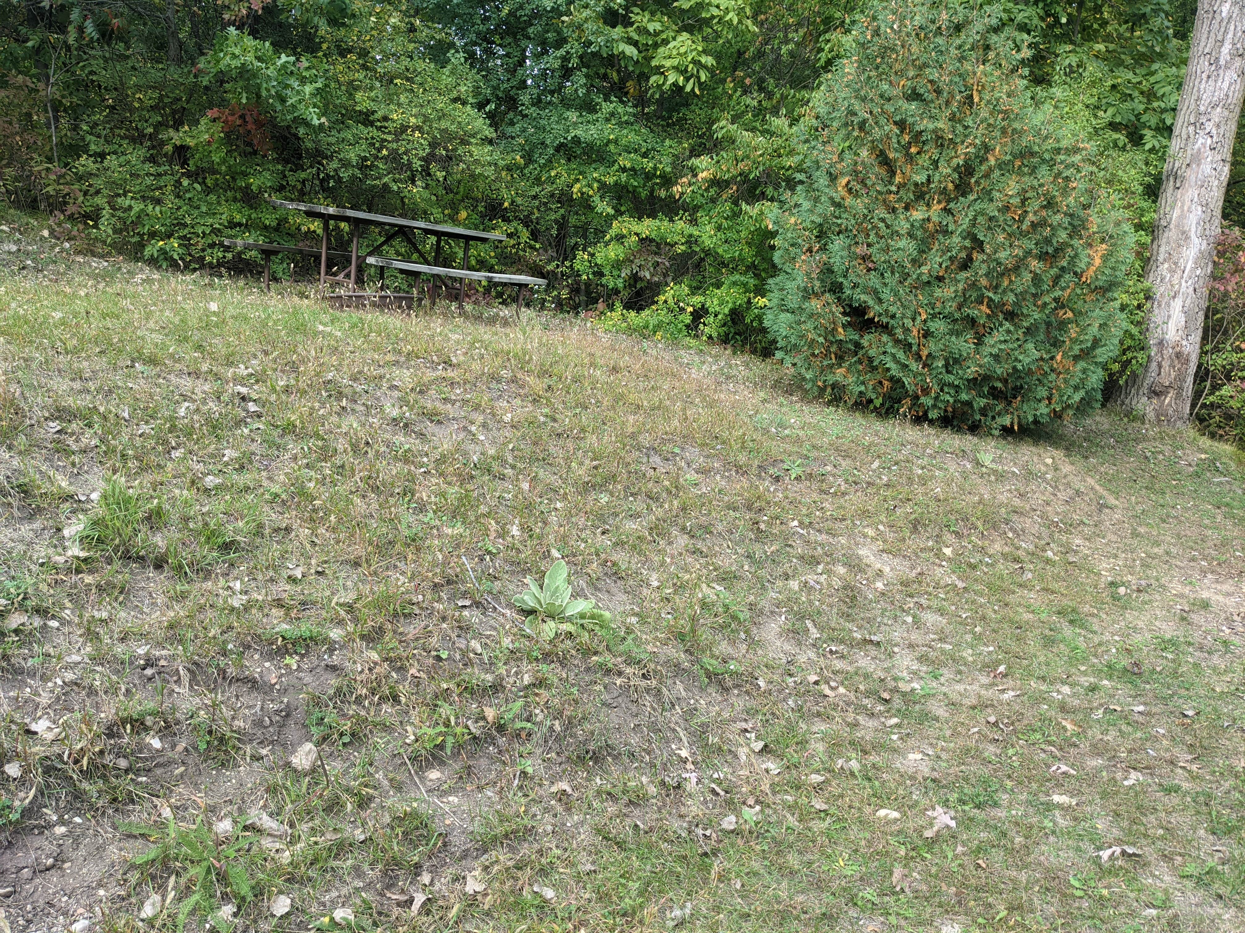 Camper-submitted photo at Snug Harbor Inn Campground on Turtle Lake near Milton, WI