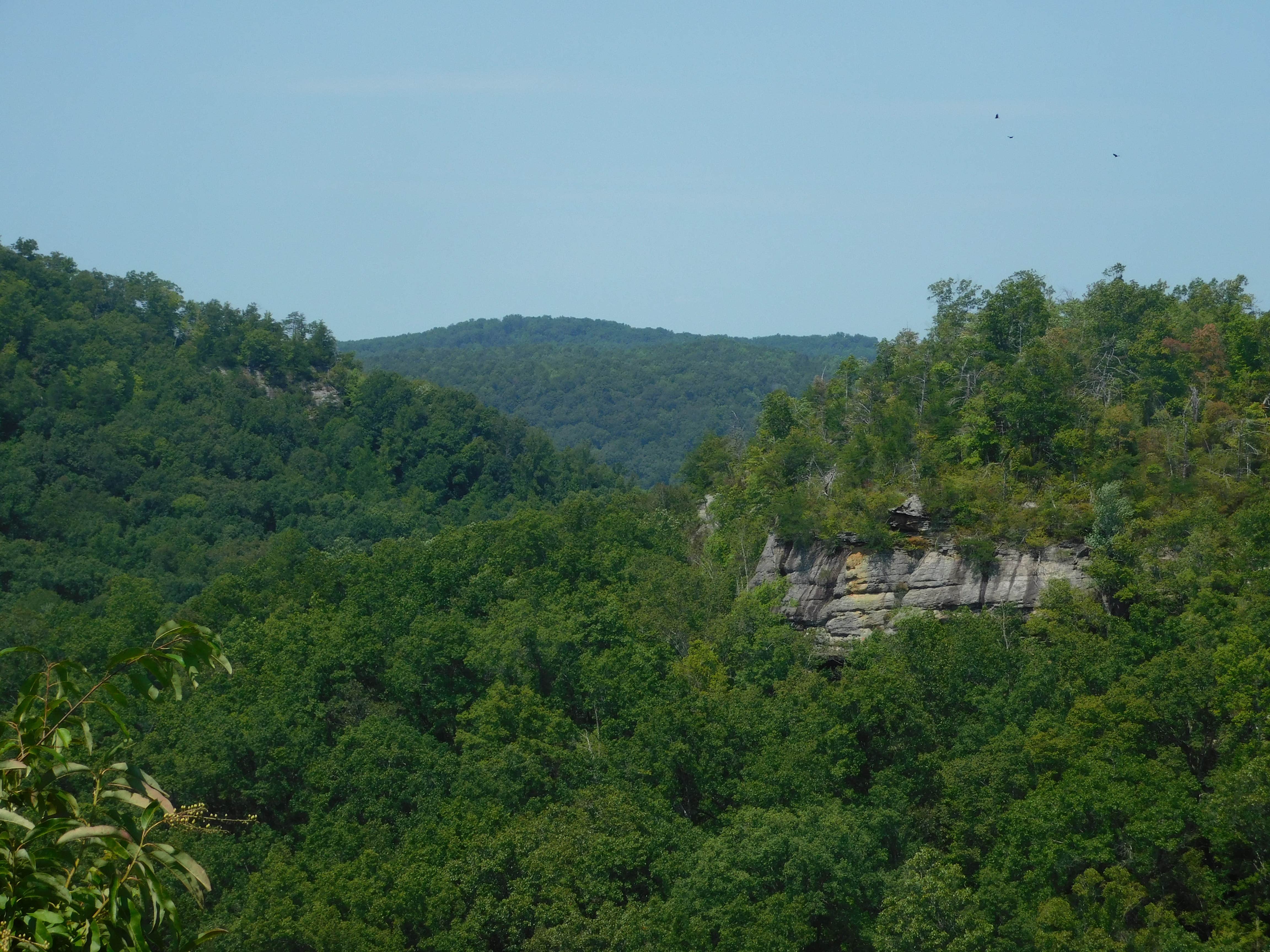 Camper-submitted photo at Whittleton Campground — Natural Bridge State Resort Park near Buckhorn Lake