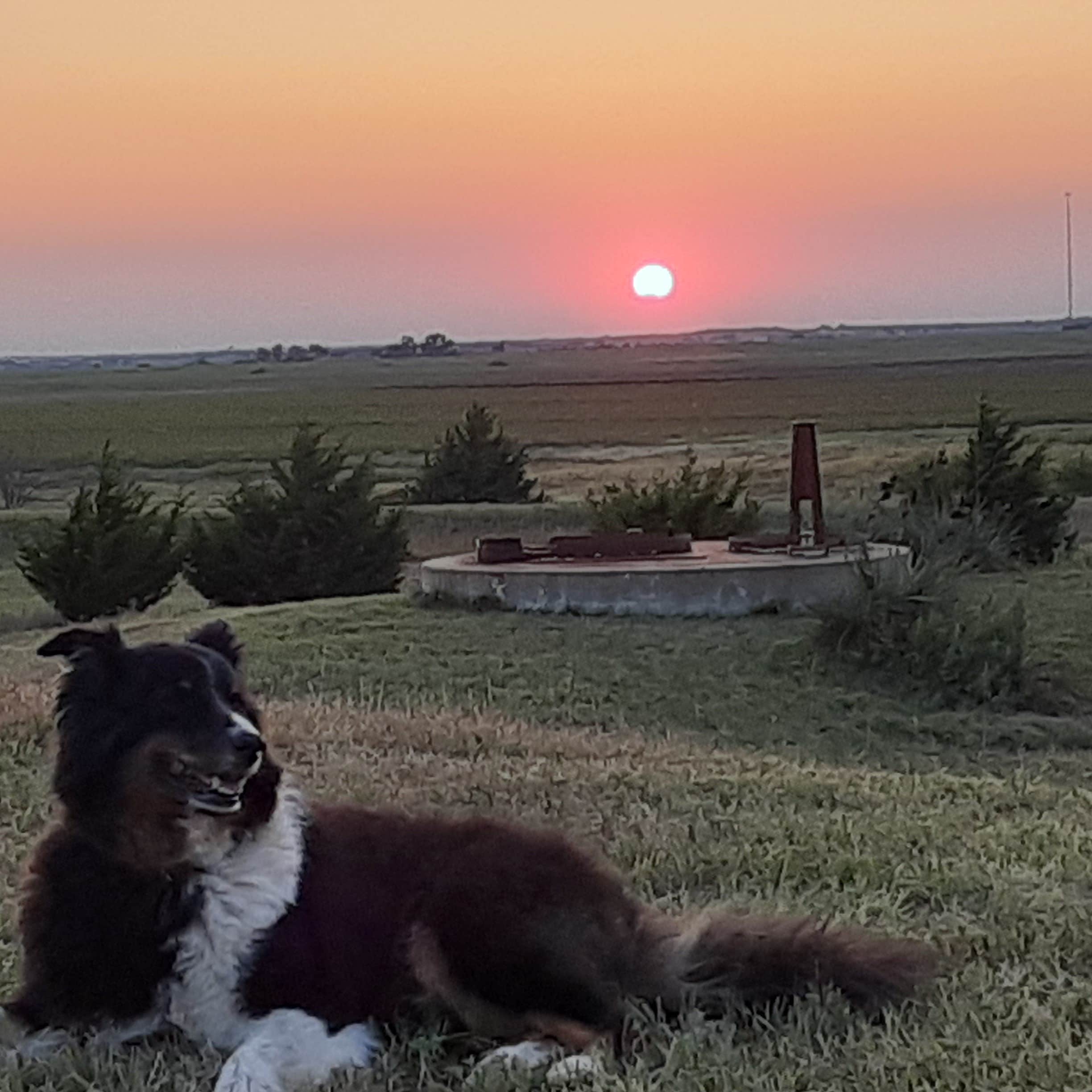 Matthew F.'s photo of camping with pets at Missile Silo Adventure Campground near Ellinwood, KS