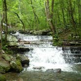Review photo of Heber Springs by William F., July 8, 2016