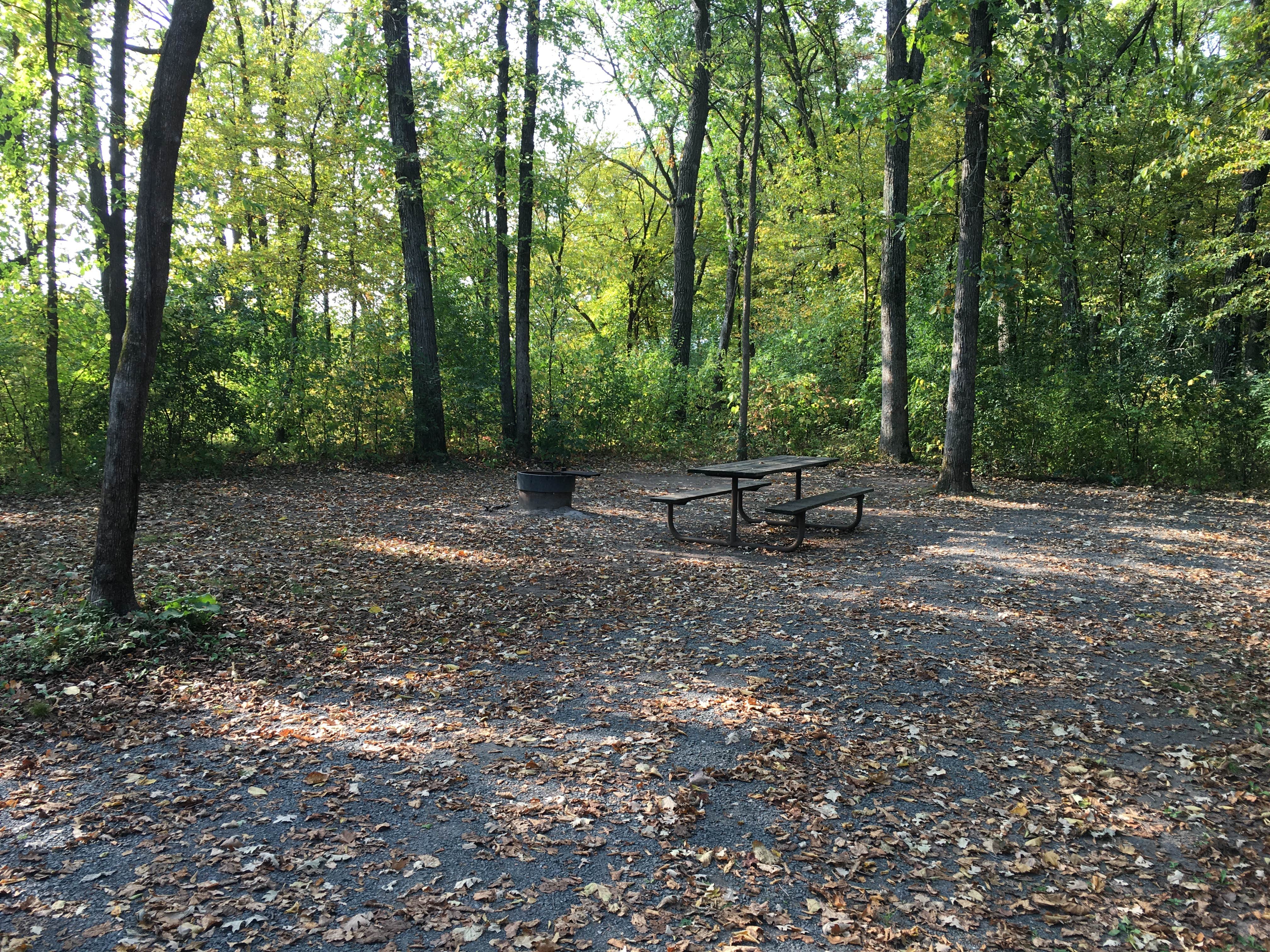 Camper-submitted photo at William O'Brien State Park Campground near Saint Croix National Scenic River