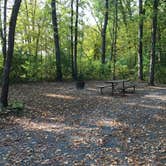 Review photo of William O'Brien State Park Campground by Dani K., September 25, 2020