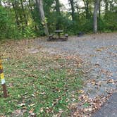 Review photo of William O'Brien State Park Campground by Dani K., September 25, 2020