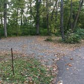 Review photo of William O'Brien State Park Campground by Dani K., September 25, 2020