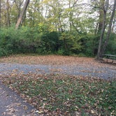 Review photo of William O'Brien State Park Campground by Dani K., September 25, 2020