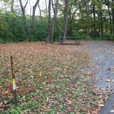 Review photo of William O'Brien State Park Campground by Dani K., September 25, 2020