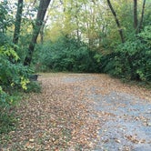 Review photo of William O'Brien State Park Campground by Dani K., September 25, 2020