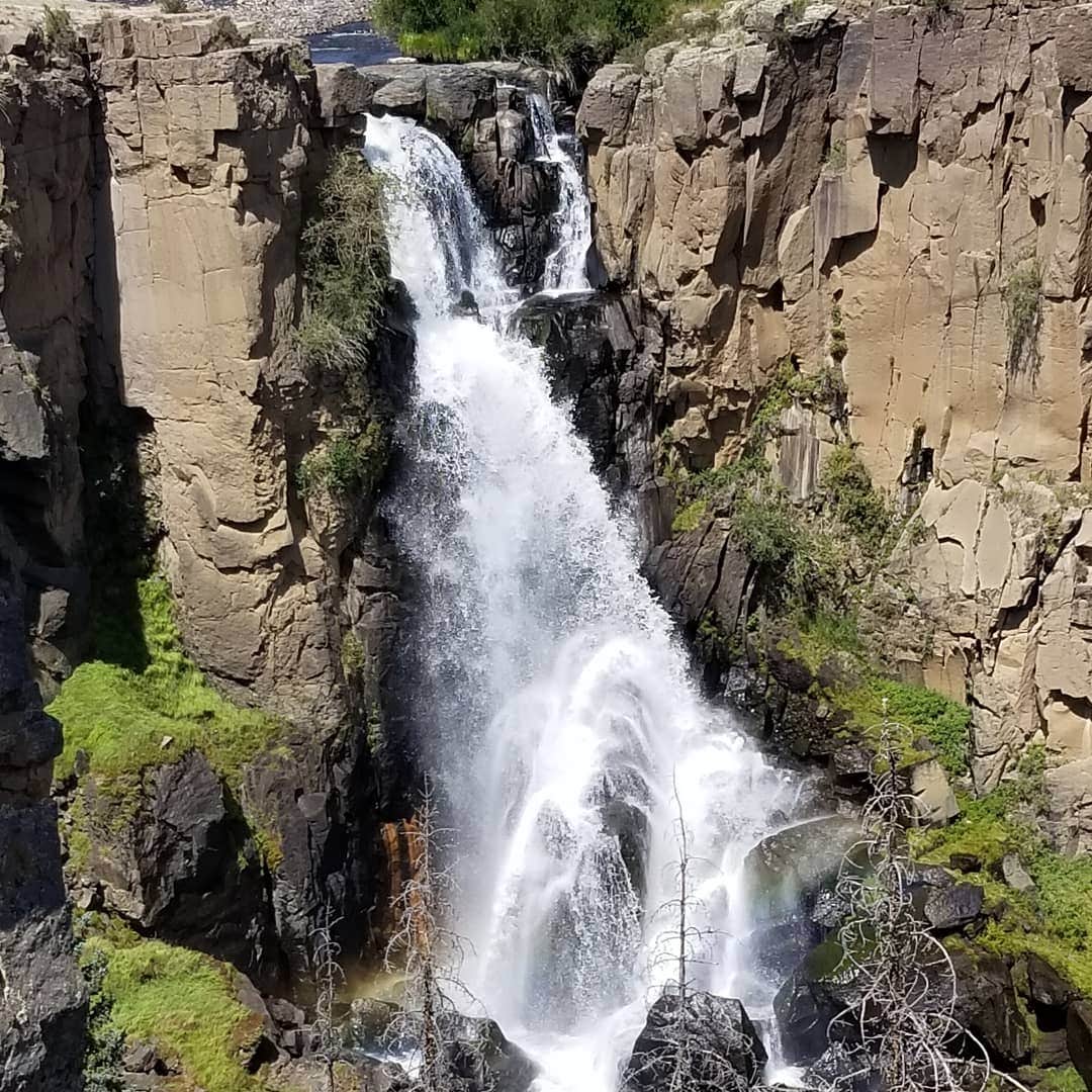 Camper-submitted photo at North Clear Creek near City of Creede, CO