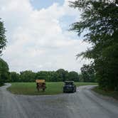 Review photo of Nickell Branch Campground by Joel H., September 25, 2020