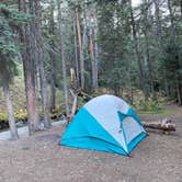 Review photo of Blue Lake Dispersed Camping- CLOSED by Katie M., September 25, 2020