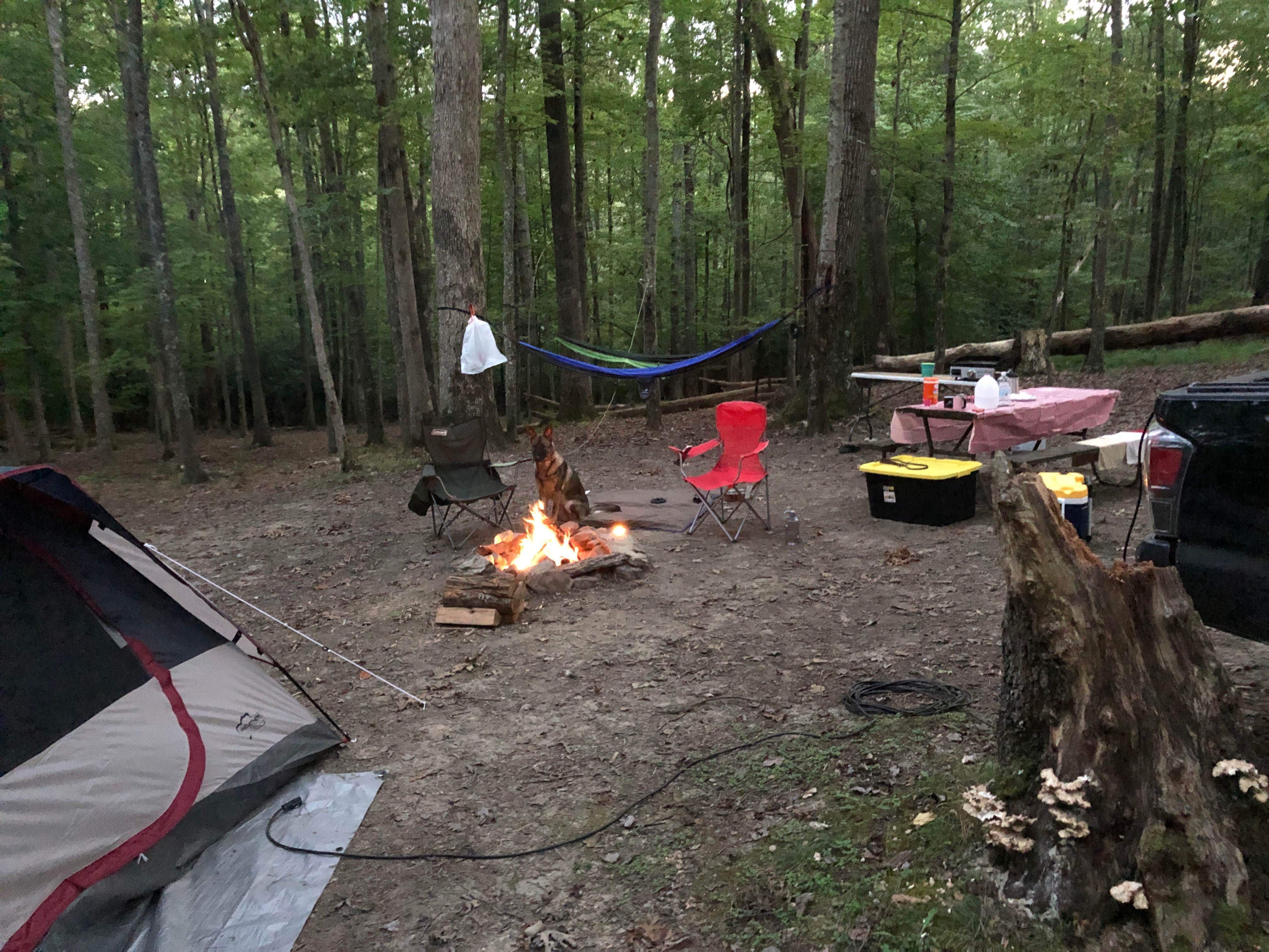 Camper submitted image from Summersville Lake Retreat & Lighthouse - 2