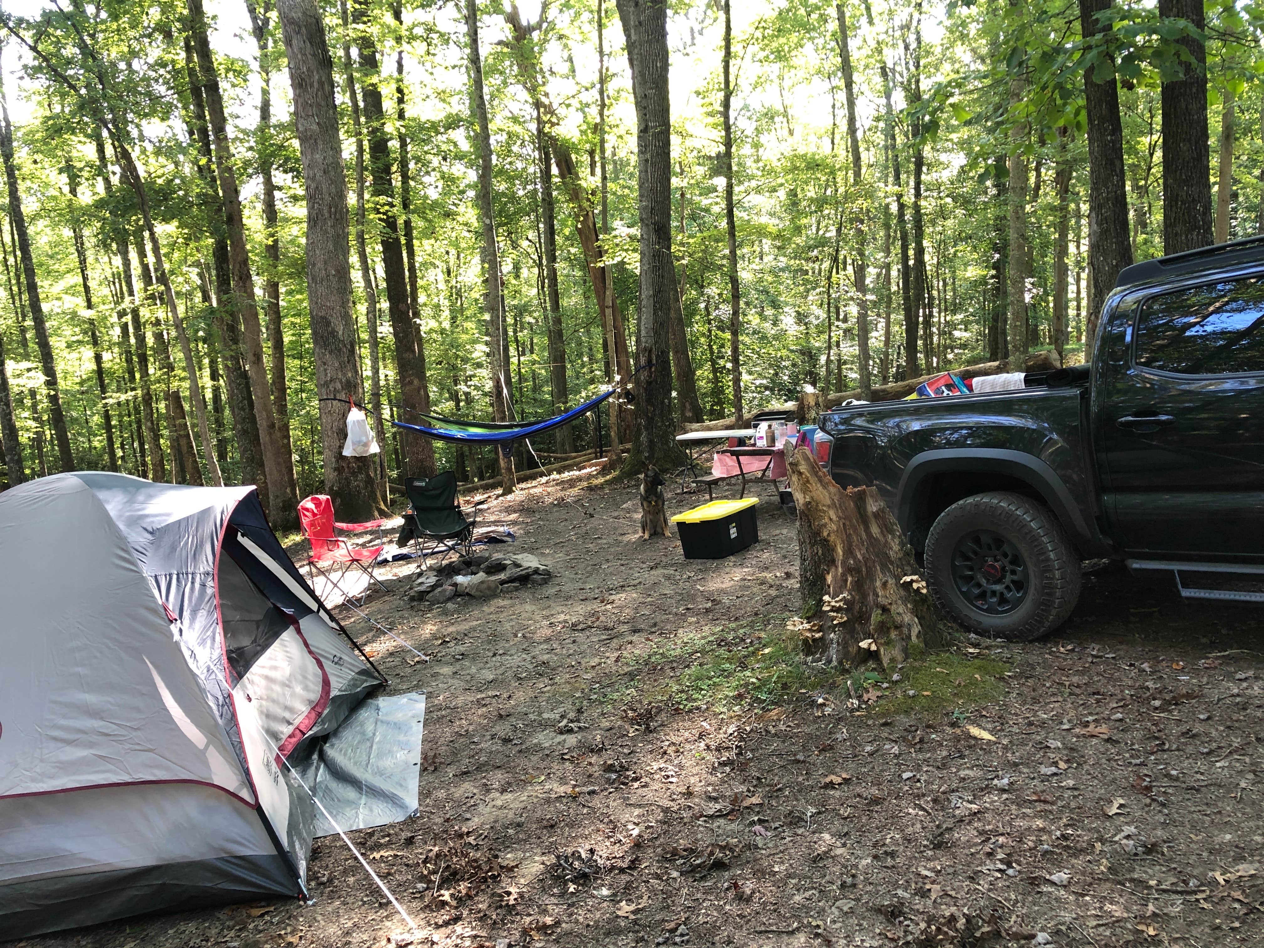 Camping