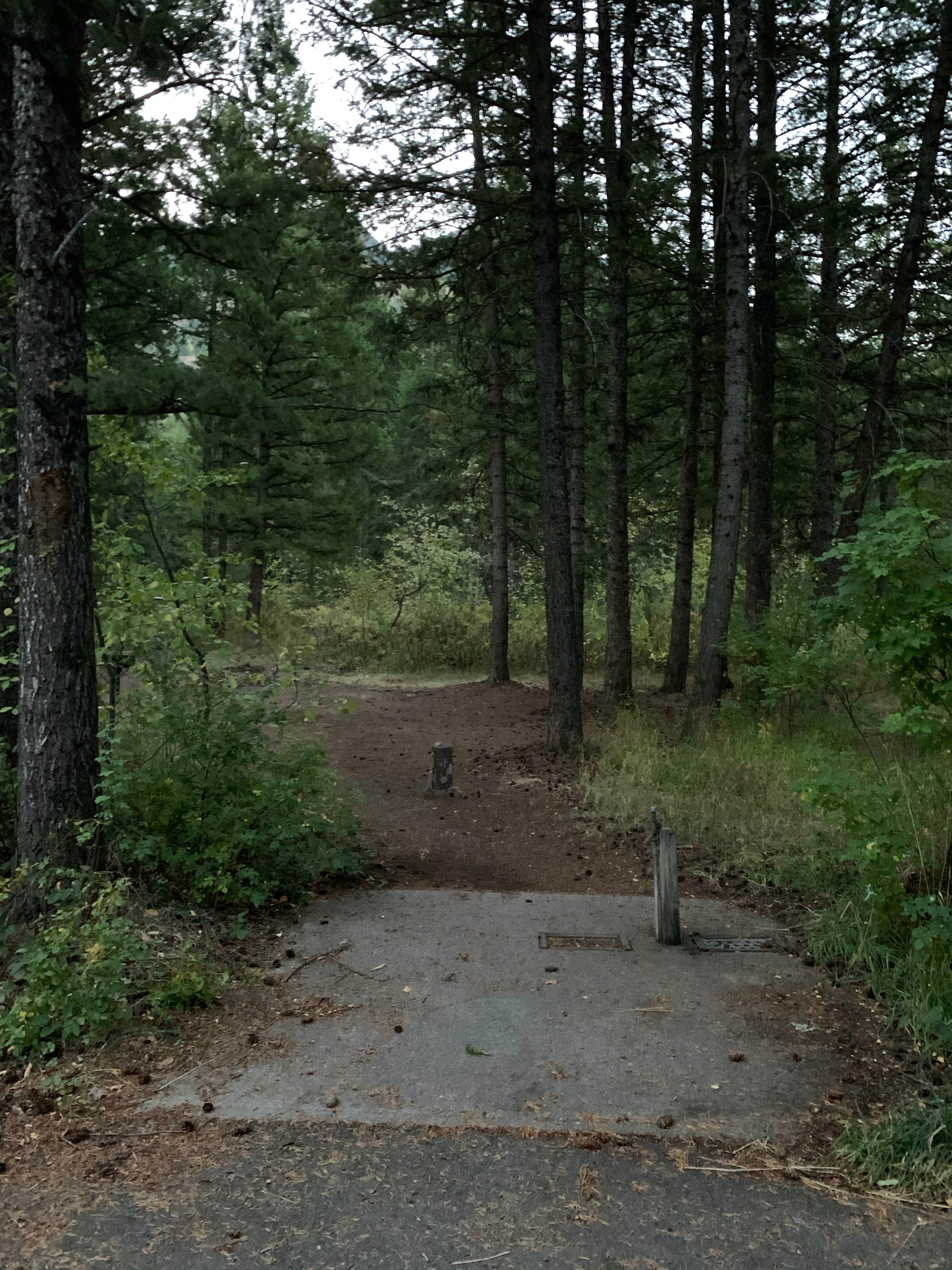 Camper submitted image from Scout Mountain Campground - 5