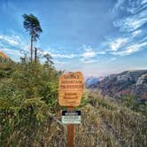 Review photo of Saddle Mountain (Kaibab NF) by Tori , September 25, 2020