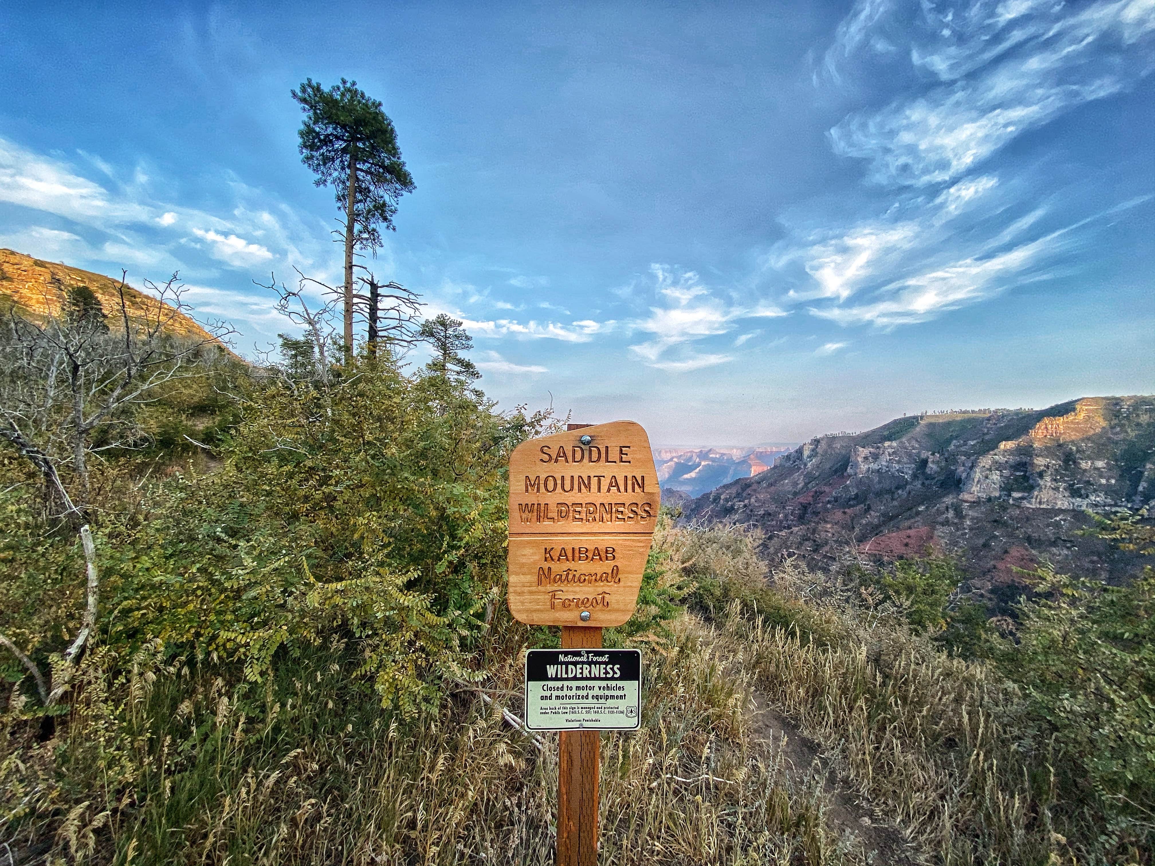 Camper submitted image from Saddle Mountain (Kaibab NF) - 4