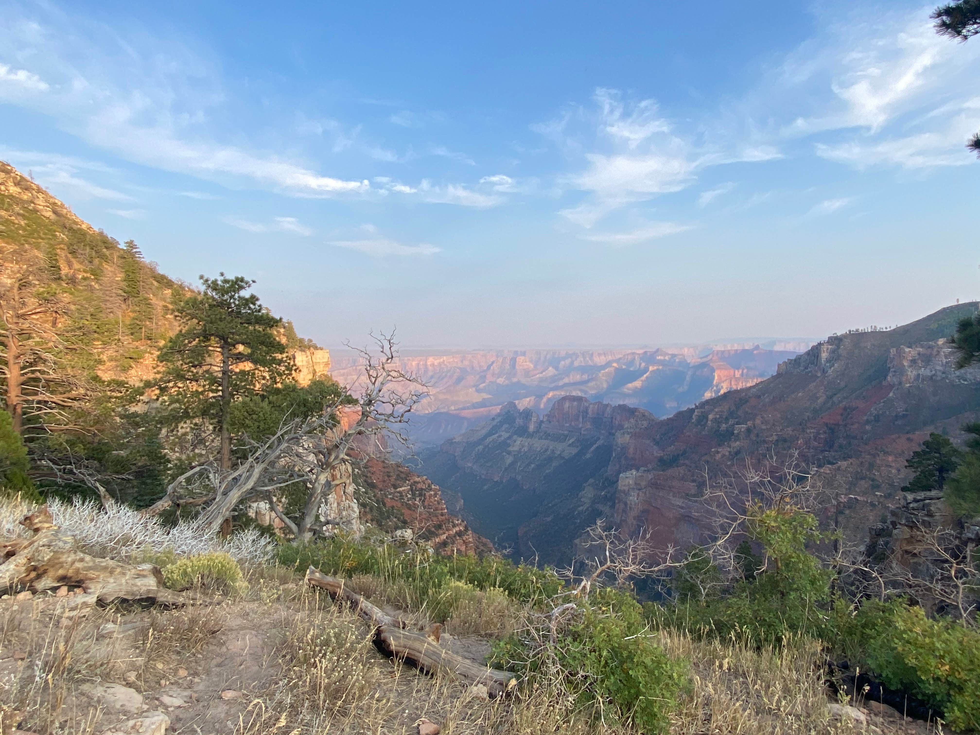 Camper submitted image from Saddle Mountain (Kaibab NF) - 3