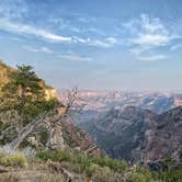 Review photo of Saddle Mountain (Kaibab NF) by Tori , September 25, 2020