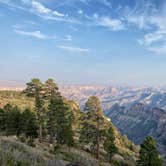 Review photo of Saddle Mountain (Kaibab NF) by Tori , September 25, 2020