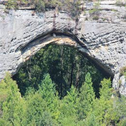 Whittleton Campground — Natural Bridge State Resort Park