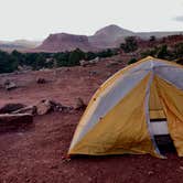 Review photo of Capitol Reef National Park Dispersed Camping by Meg , September 25, 2020