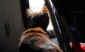Cathleen V.'s photo of camping with pets at Hope Oak Knoll Camp Ground in Minnesota