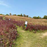 Review photo of Maplewood State Park Campground by Will H., September 25, 2020