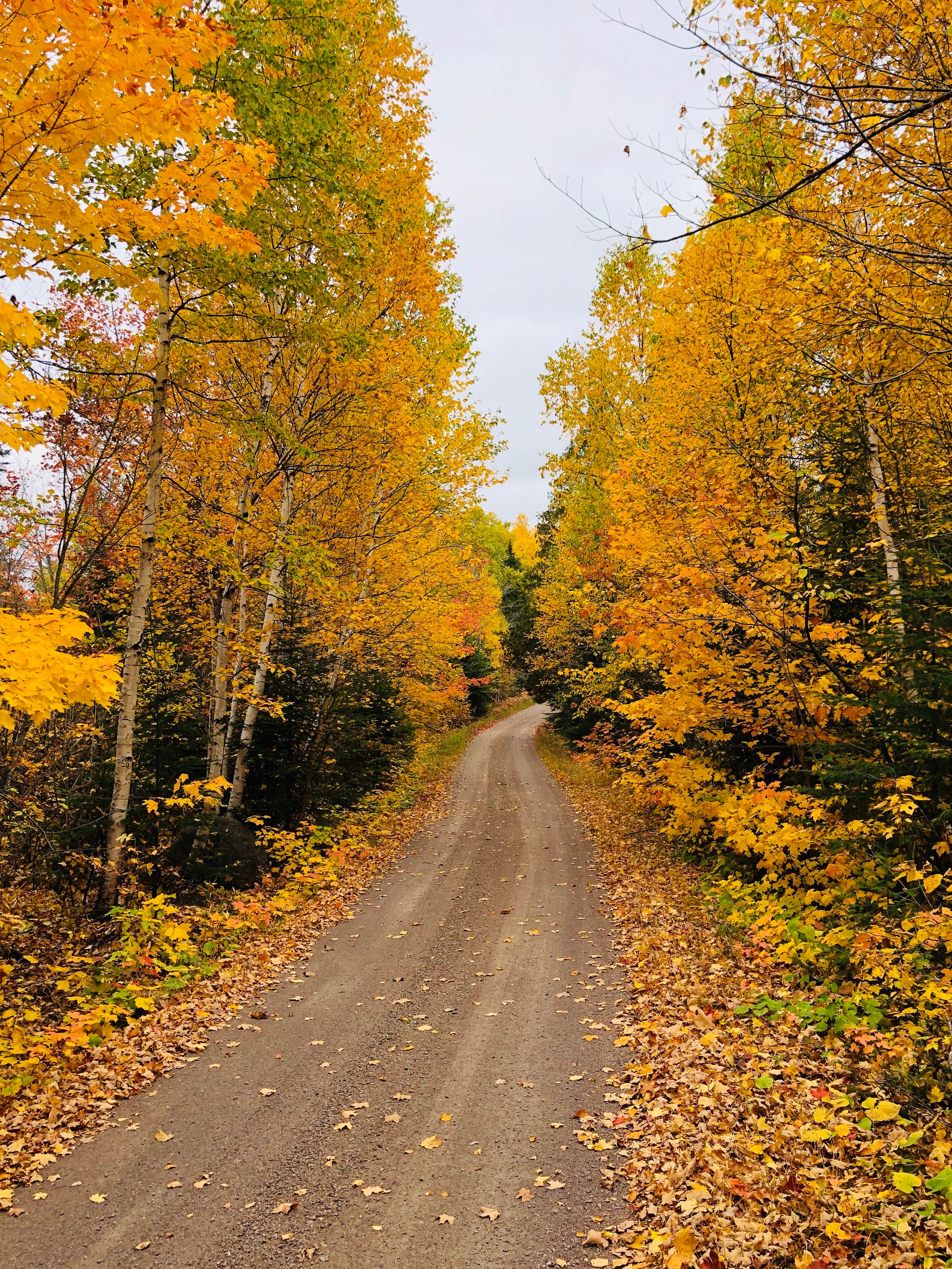 Camper submitted image from Canoe Country Campground and Cabins - 2