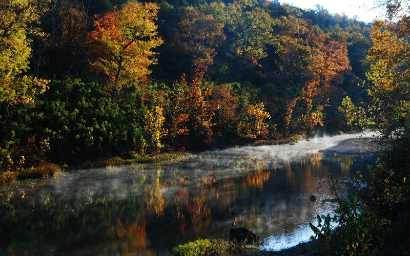 Camper submitted image from Pinnacle Springs Recreational Park - 2