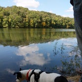 Review photo of Yellowwood State Forest by Sammii D., September 25, 2020