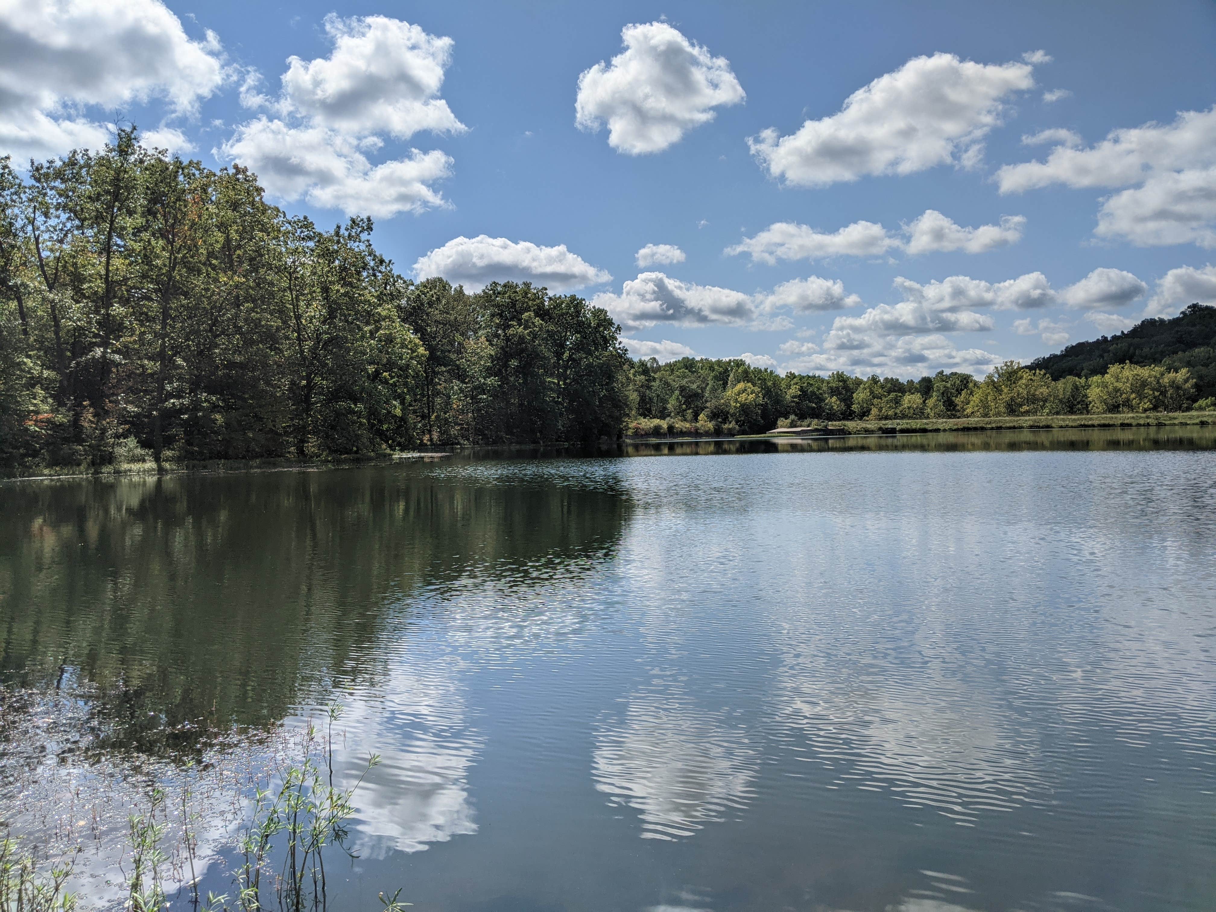 Camper-submitted photo at Yellowwood State Forest near Indianapolis, IN