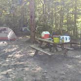 Review photo of Yellowwood State Forest by Sammii D., September 25, 2020