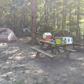 Review photo of Yellowwood State Forest by Sammii D., September 25, 2020