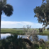 Review photo of Sea Camp Campground — Cumberland Island National Seashore by Angela M., September 25, 2020