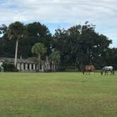 Review photo of Sea Camp Campground — Cumberland Island National Seashore by Angela M., September 25, 2020