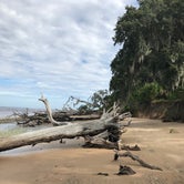 Review photo of Sea Camp Campground — Cumberland Island National Seashore by Angela M., September 25, 2020