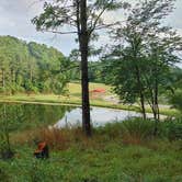 Review photo of AEP ReCreation Sawmill Road Campsite (D on paper map) at 10390 North Street Route 83 McConnelsville Ohio 43756 by Karen K., September 25, 2020