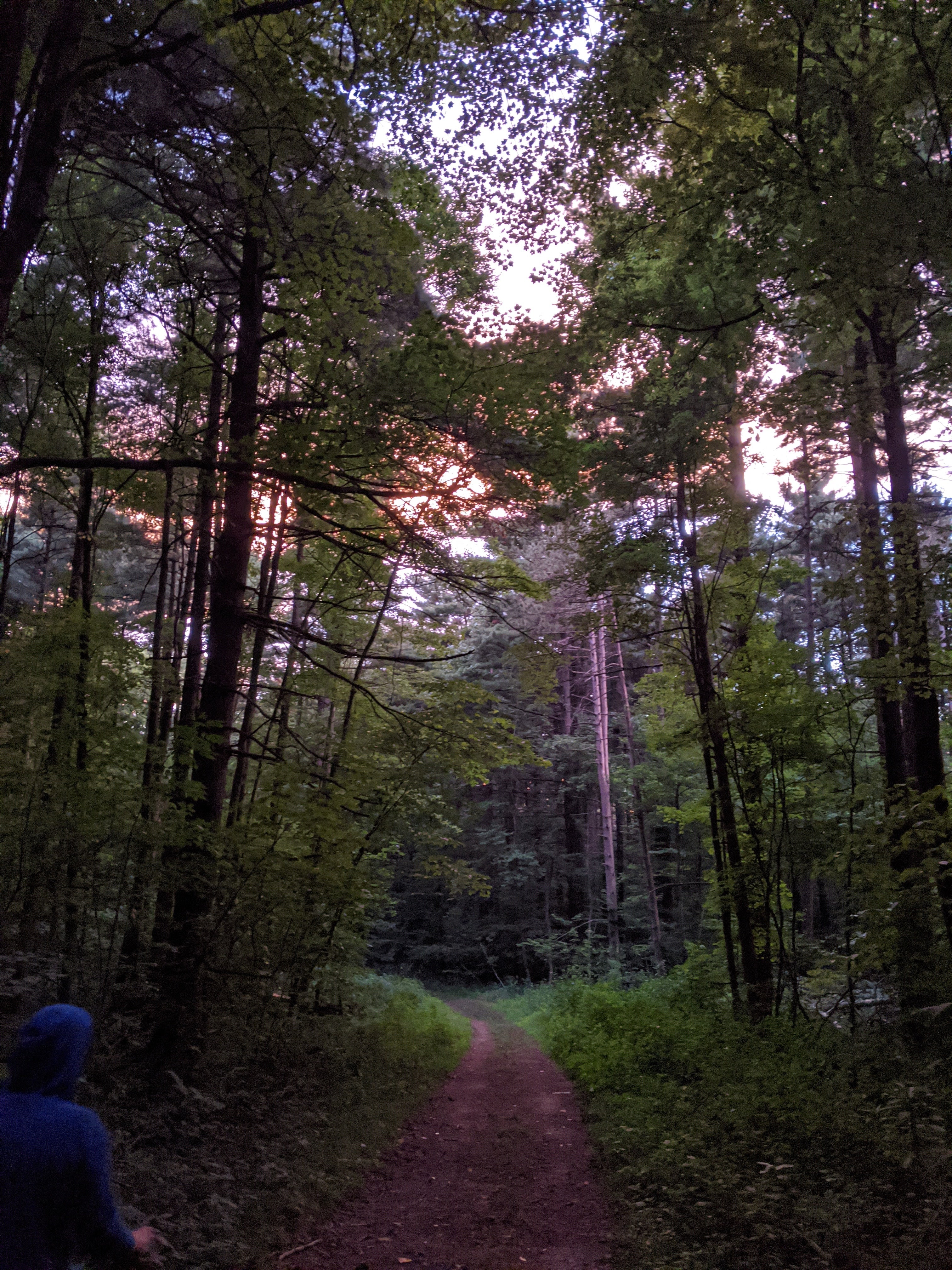 Camper submitted image from Park and Pack Campsite 10 — Mohican-Memorial State Forest - 5