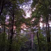 Review photo of Park and Pack Campsite 10 — Mohican-Memorial State Forest by Karen K., September 25, 2020