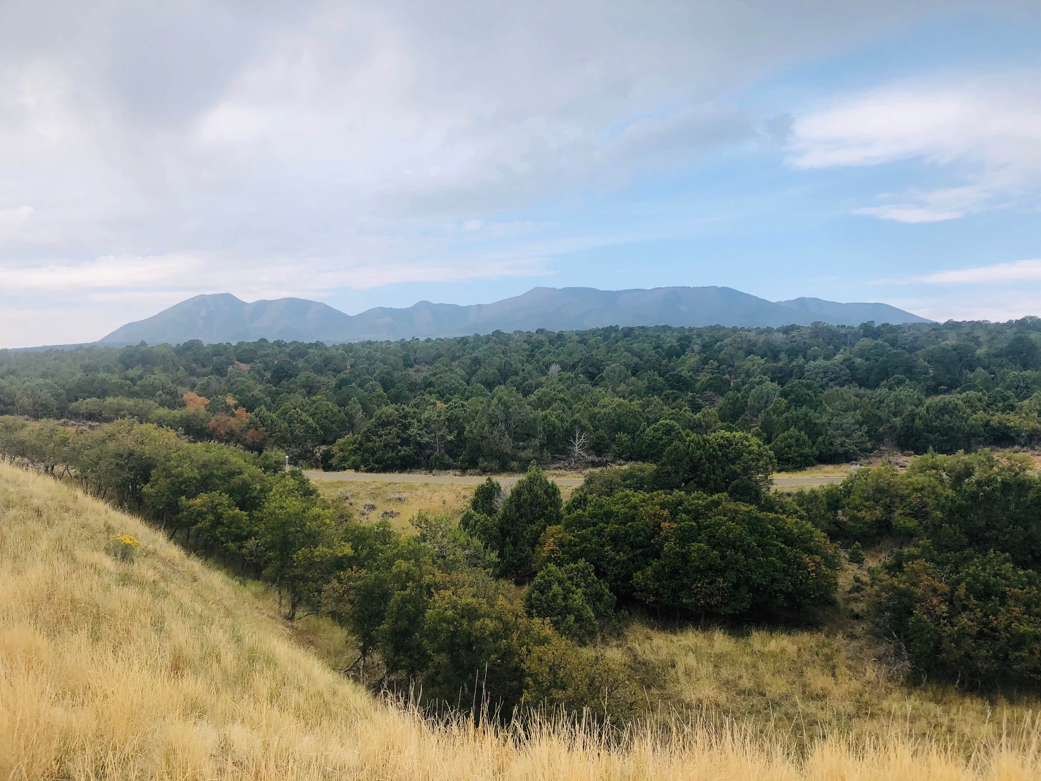 View All