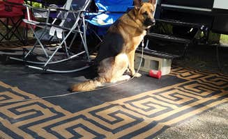 Bryan R.'s photo of camping with pets at Mountwood Park Family Campground(Wood County Park) in West Virginia