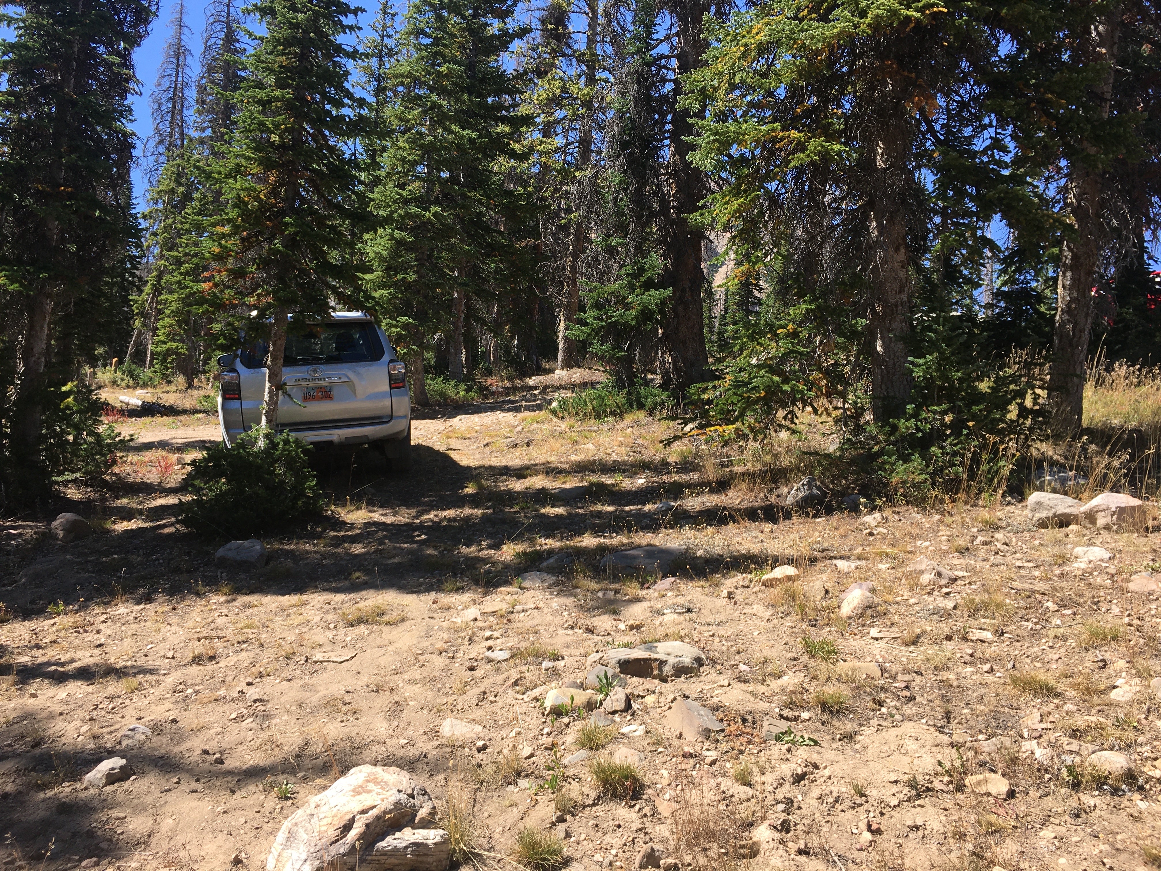 Camper submitted image from Moosehorn Dispersed Camping - 3