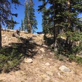 Review photo of Moosehorn Dispersed Camping by Spencer L., September 25, 2020