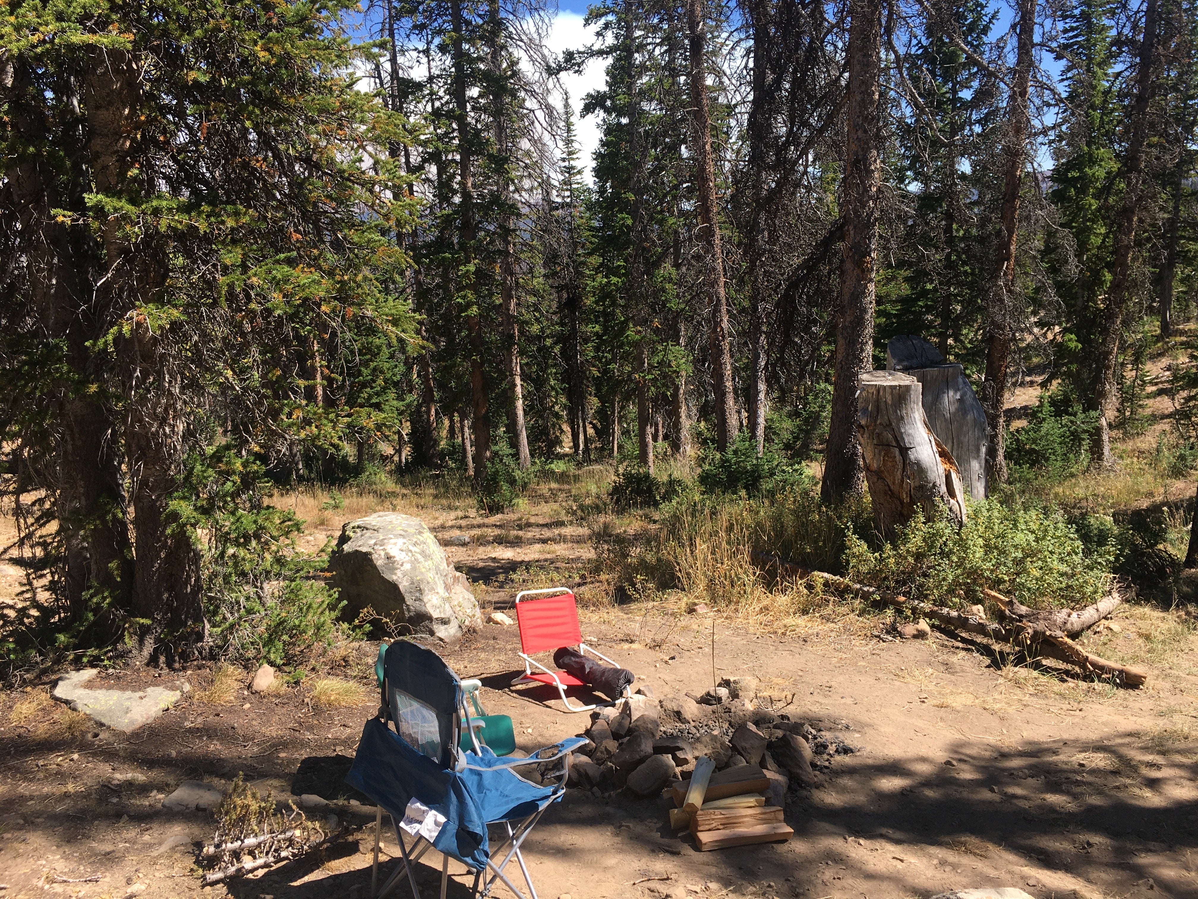 Camper submitted image from Moosehorn Dispersed Camping - 5