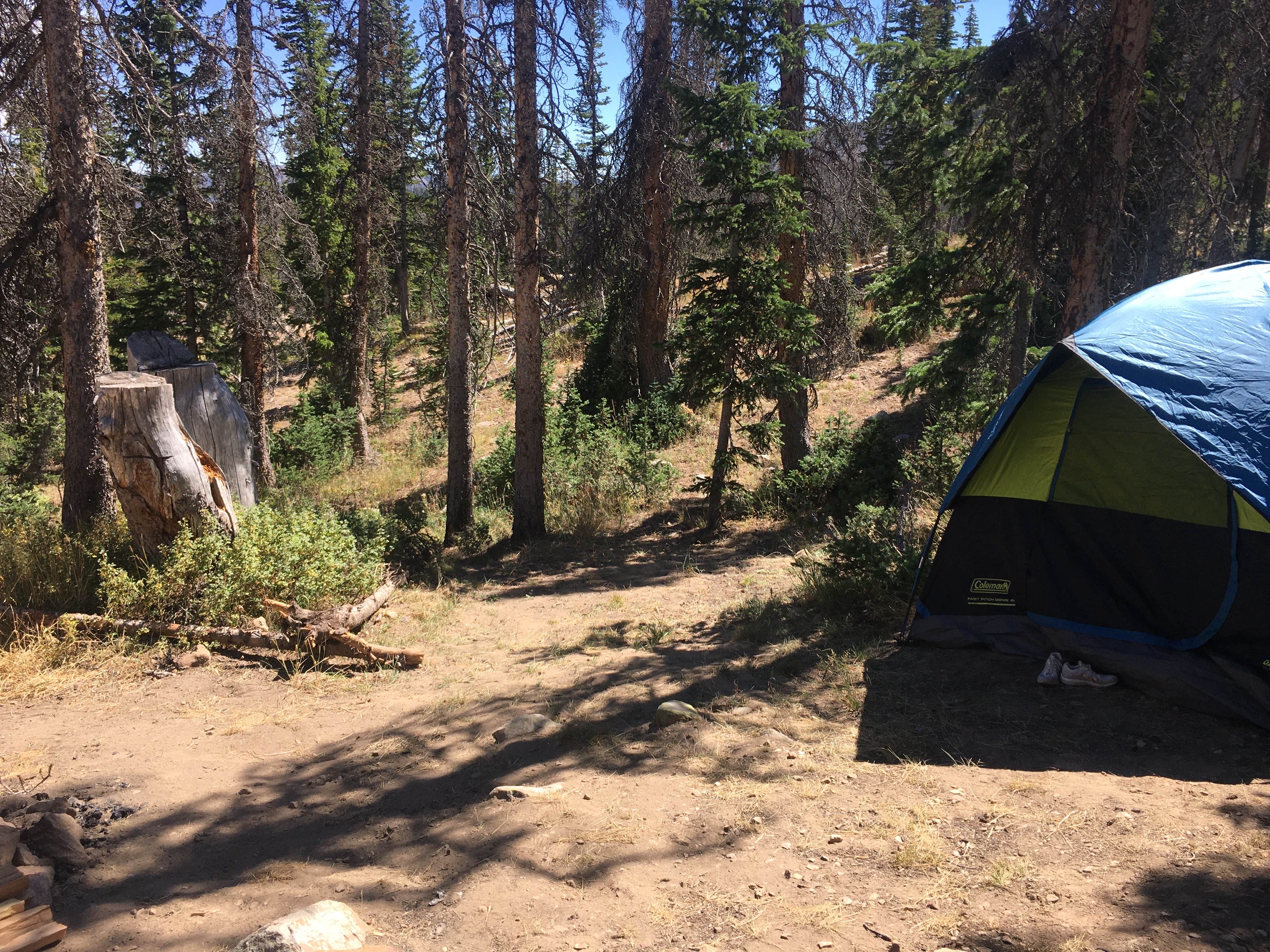 Spencer L.'s photo of a dispersed camping area at Moosehorn Dispersed Camping near Duchesne, UT