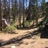 Review photo of Moosehorn Dispersed Camping by Spencer L., September 25, 2020