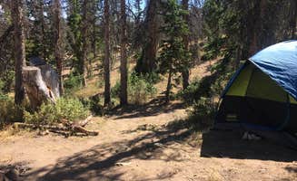 Spencer L.'s photo of a dispersed camping area at Moosehorn Dispersed Camping in Utah